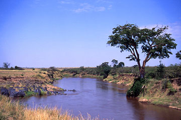 mara river kenya